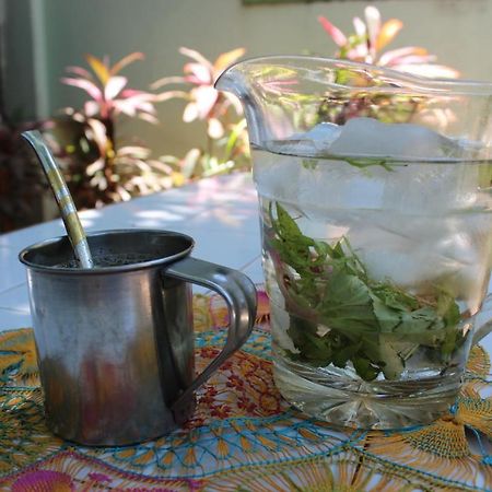 Hamaca Paraguaya Hostel อะซุนซิออง ภายนอก รูปภาพ