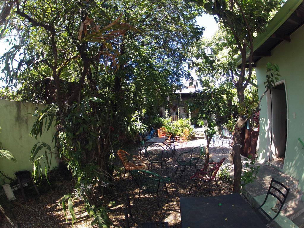 Hamaca Paraguaya Hostel อะซุนซิออง ภายนอก รูปภาพ