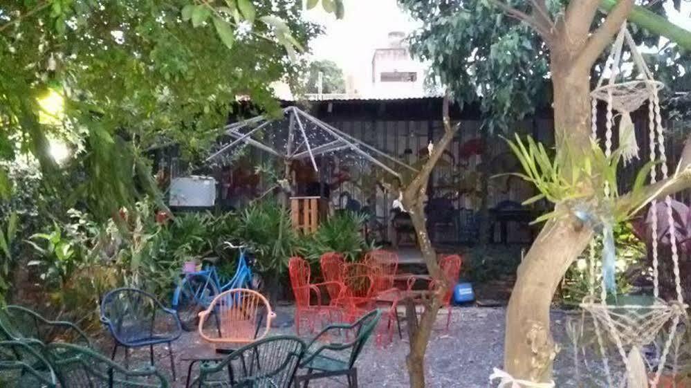 Hamaca Paraguaya Hostel อะซุนซิออง ภายนอก รูปภาพ